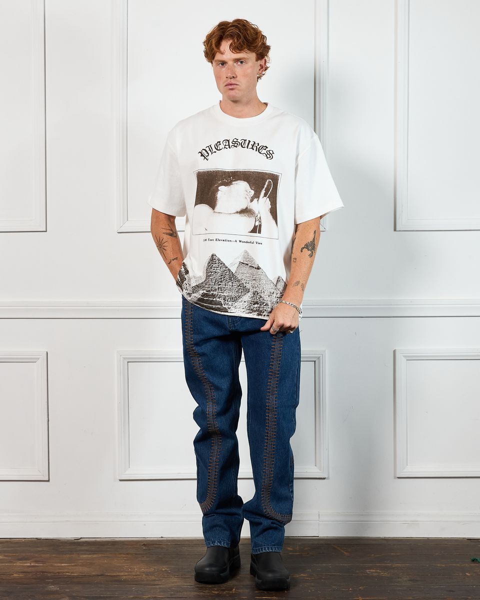 Pleasures Elevation Heavyweight Tee