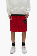 Chicago Bulls Mesh Shorts